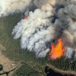 Safeguarding your home during wildfire season