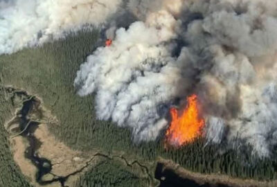 Safeguarding your home during wildfire season