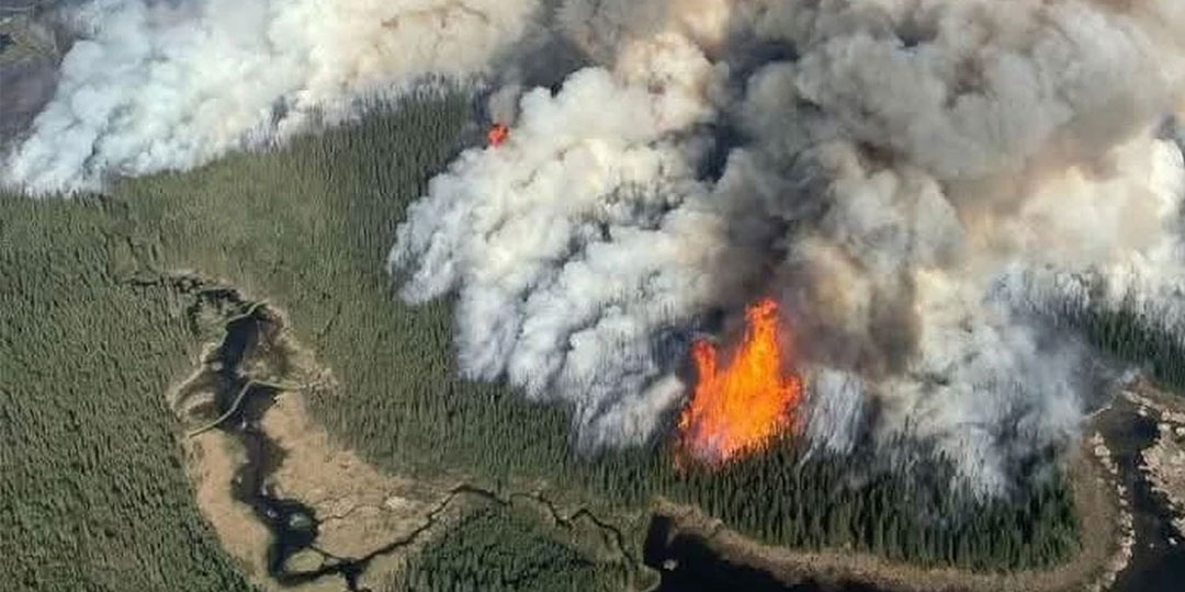 Safeguarding your home during wildfire season